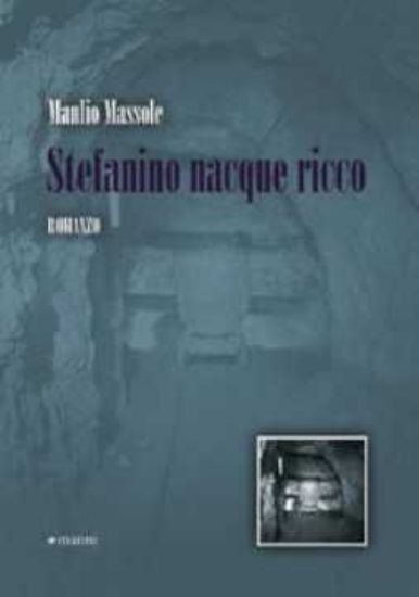 Immagine di Stefanino nacque ricco